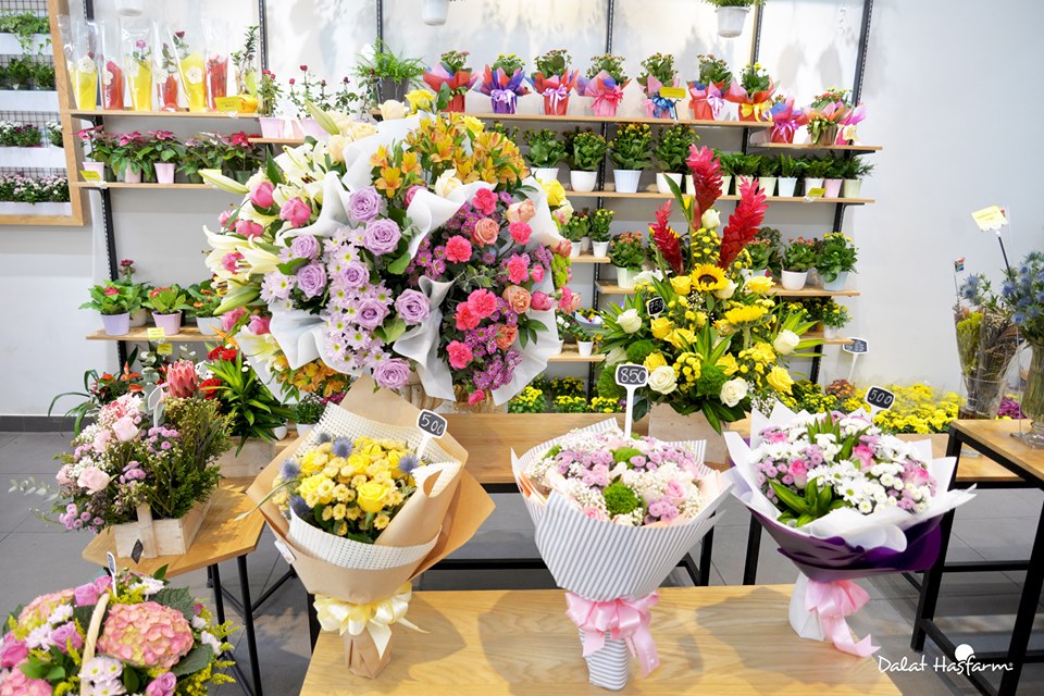 Hoa tuoi tại Hasfarm