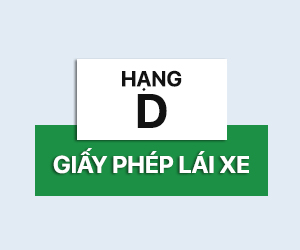 học lái xe hạng d cần thơ