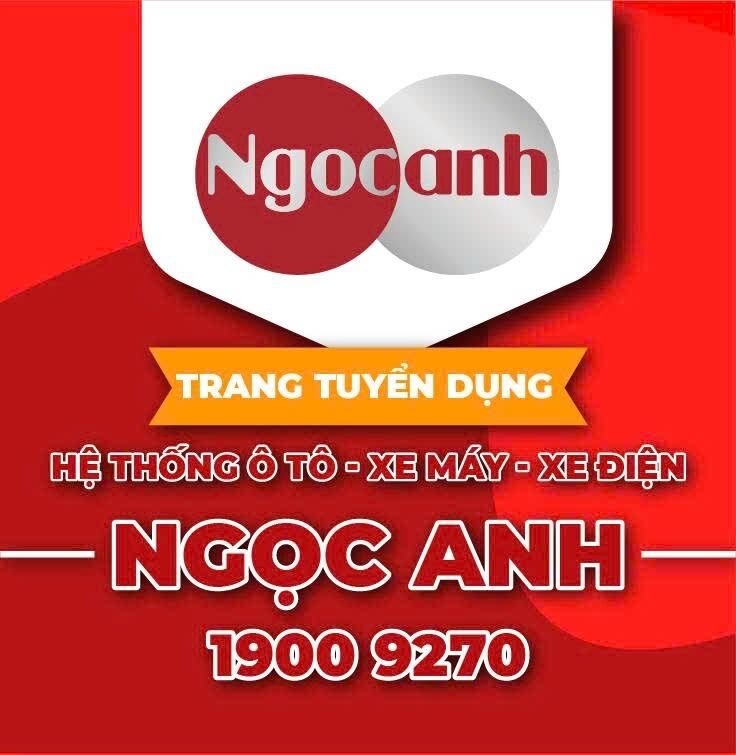 CÔNG TY TNHH THƯƠNG MẠI NGỌC ANH